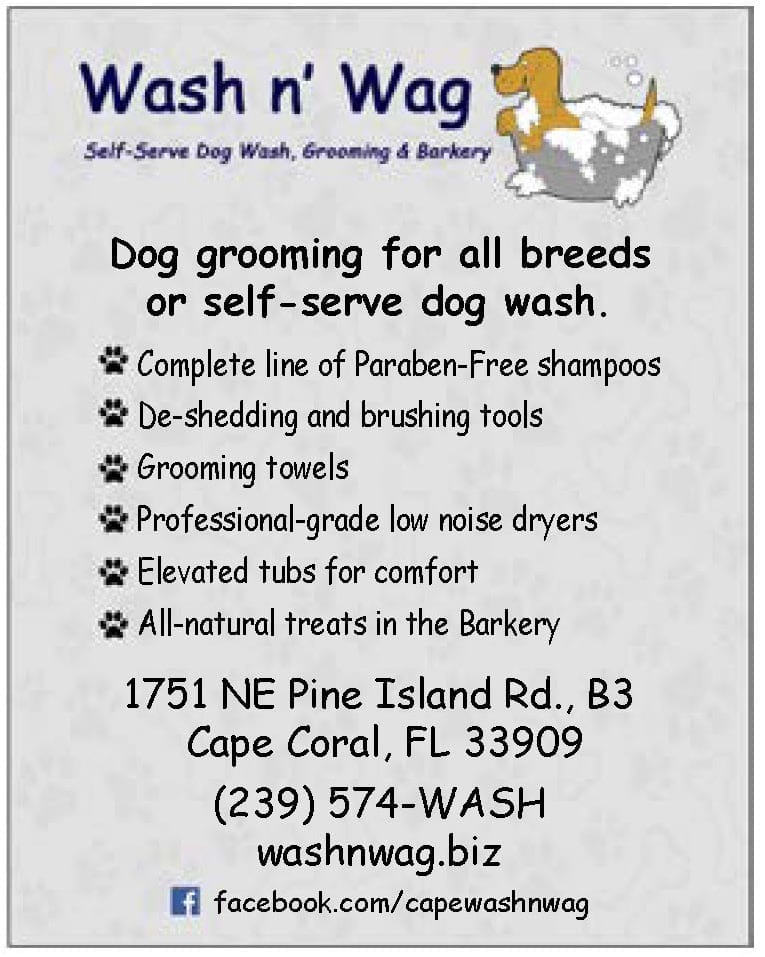 Gay friendly pet grooming business and self-serve dog wash